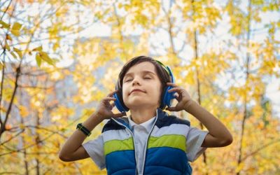 Noise Induced Hearing Loss